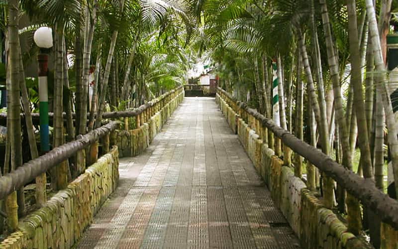 Palm store village resort
